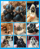 Pet Paw Cleaner