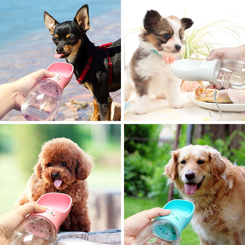 Pet Water Bottle