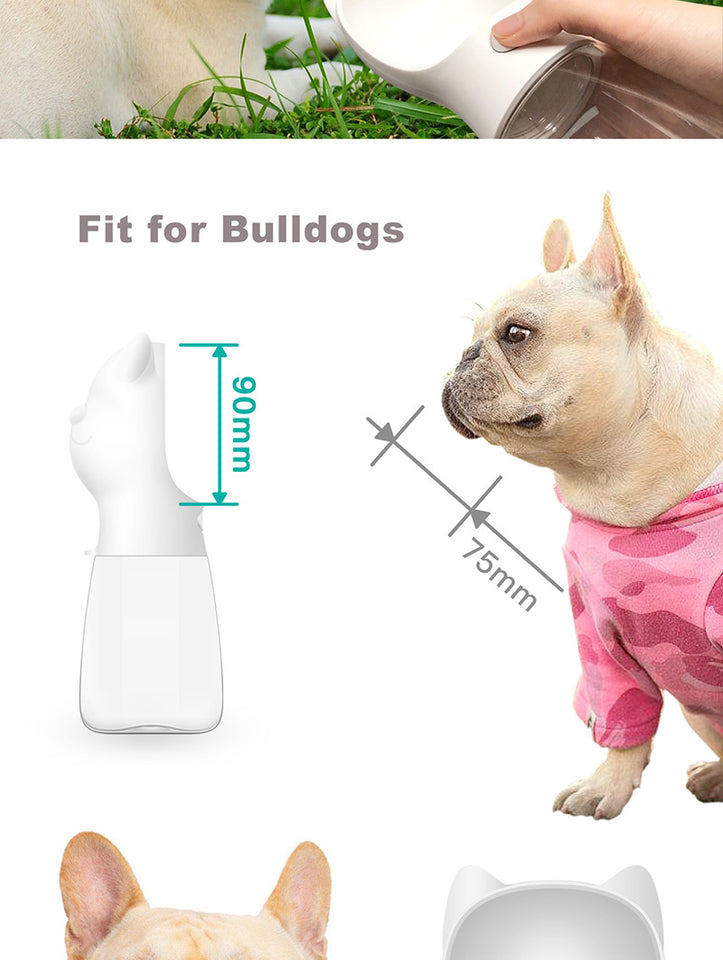 Pet Water Bottle