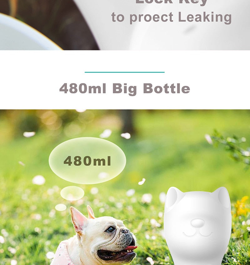 Pet Water Bottle
