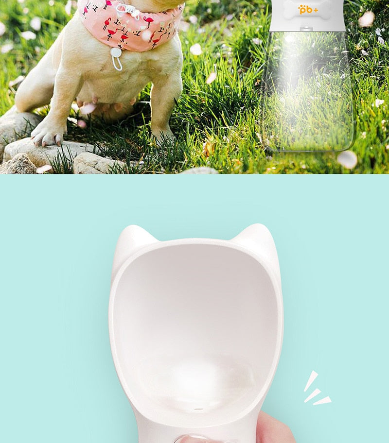 Pet Water Bottle